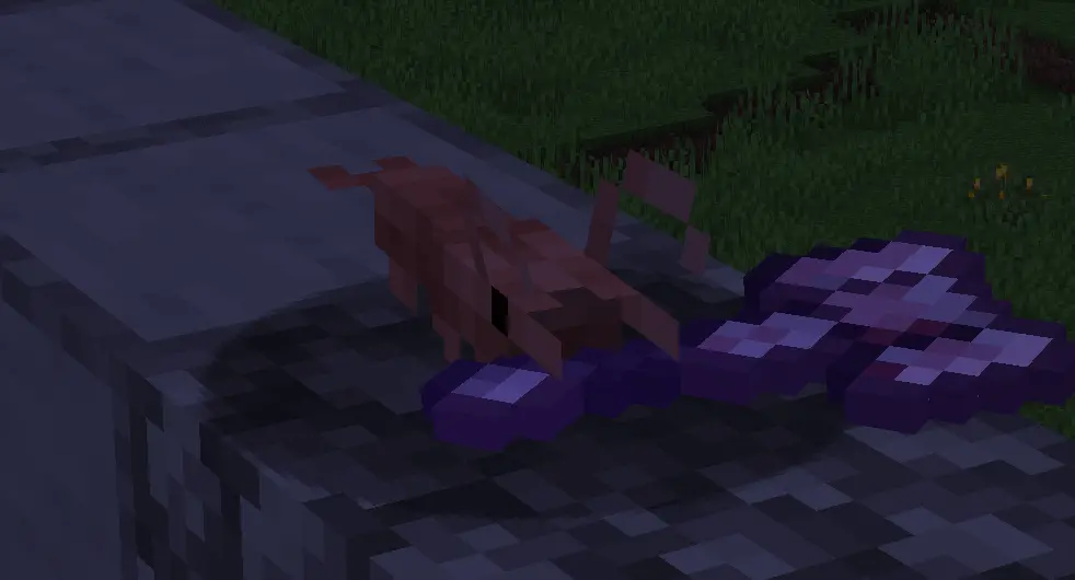 Minecraft CPM Model - Shrimp by 🩵ᒣ₸ᖋᒣ_ⅱᒷ∷ᓭ𝙹リ_リ∷ᒲ🩷 - AshiraZone Catalog (Media 2)