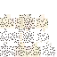 Minecraft CPM Model - gecko by rroooaaaa - AshiraZone Catalog (Media 2)