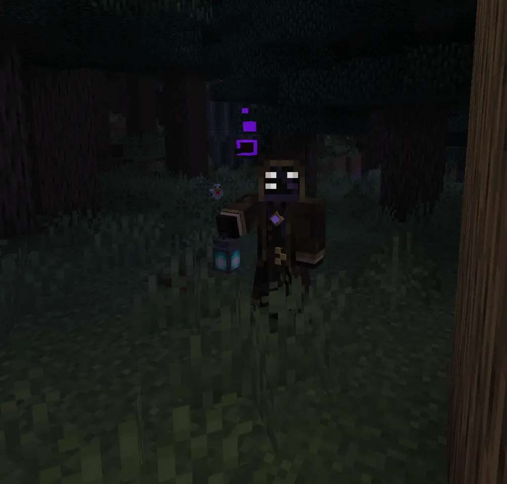 Minecraft CPM Model - Necromancer by Throg - AshiraZone Catalog (Media 2)